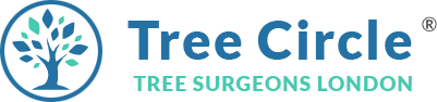 Tree Circle - Tree Surgeons London